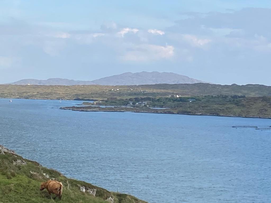 Racecourse Lodge Apartment Clifden Eksteriør bilde